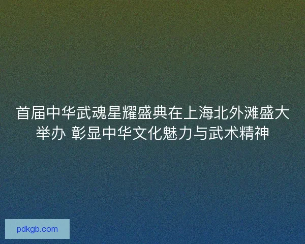 首届中华武魂星耀盛典在上海北外滩盛大举办 彰显中华文化魅力与武术精神